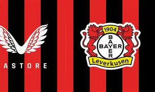 勒沃库森球队成立校园足球项目，培养青年球员的简单介绍